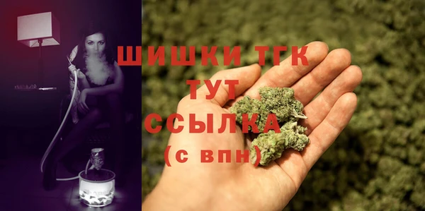 соль ск Арсеньев