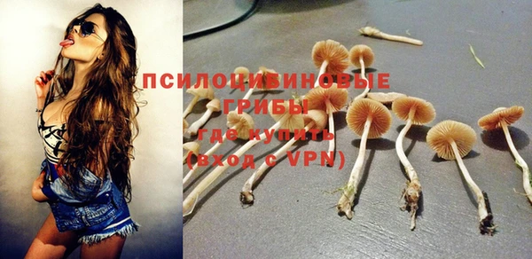 соль ск Арсеньев