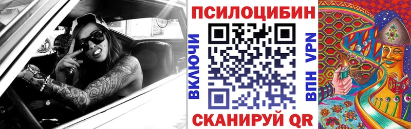 Псилоцибиновые грибы прущие грибы  Сясьстрой 